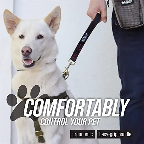 12 Inch Padded Handle Short Dog Leash with Reflective Webbing and O-Ring