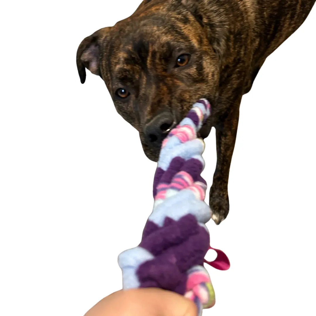 2024 Puppy Pack