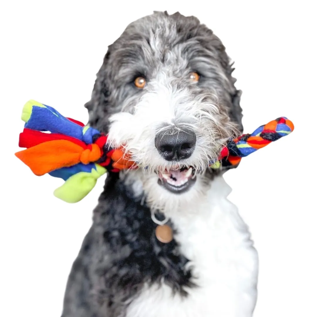 2024 Puppy Pack