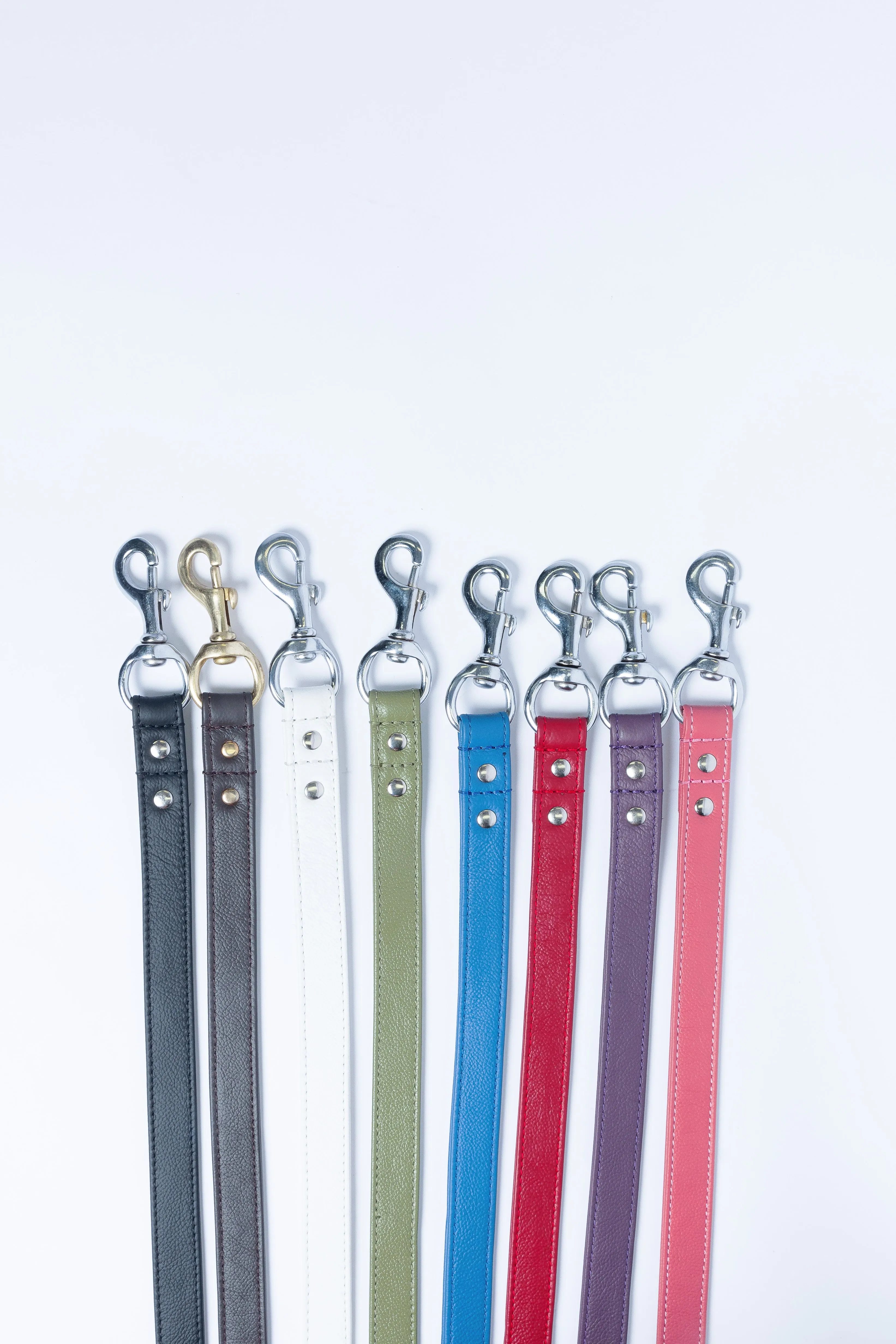 Alpine Leash