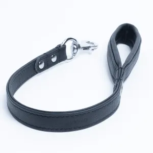 Alpine Leash