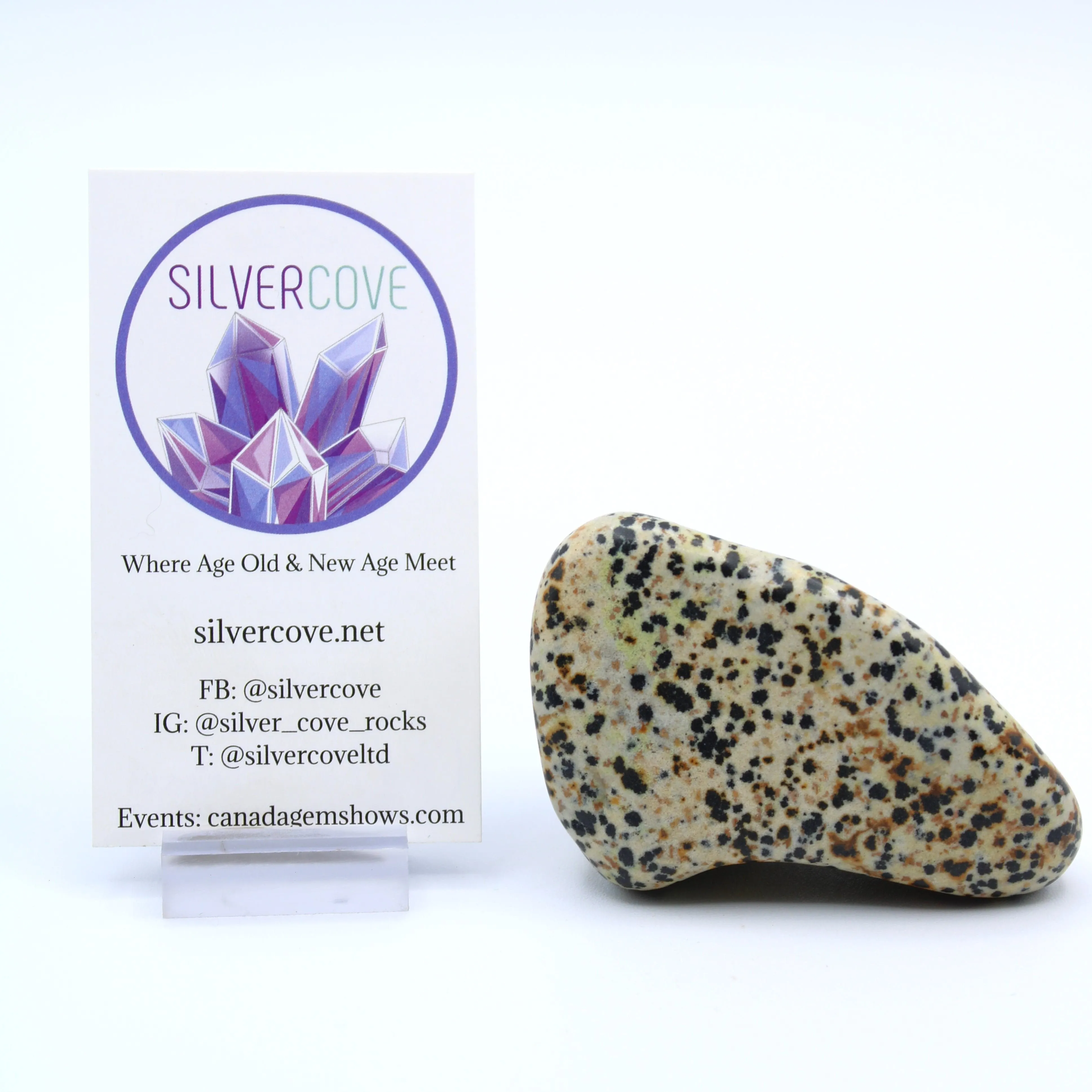 Dalmatian Jasper Free-Form