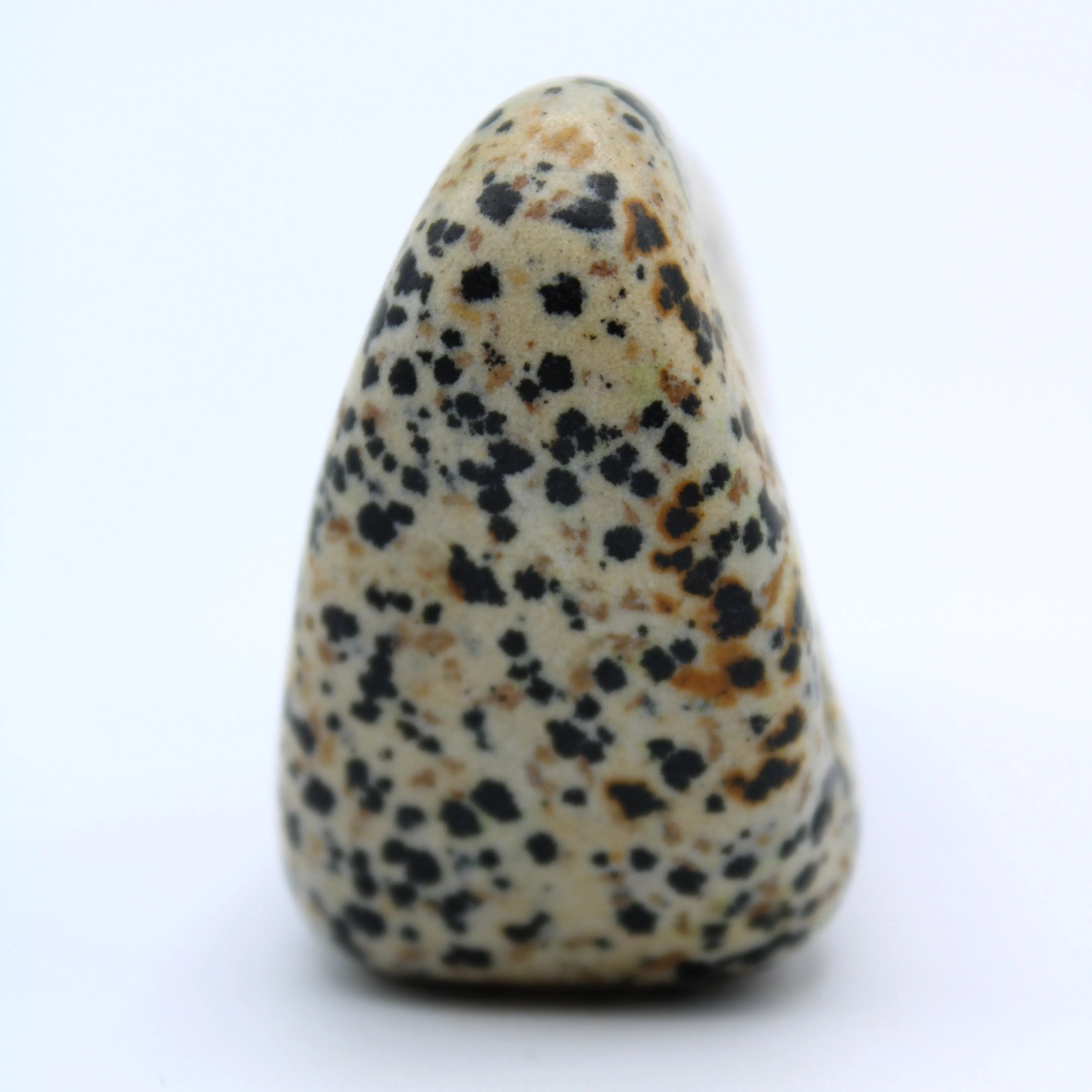 Dalmatian Jasper Free-Form