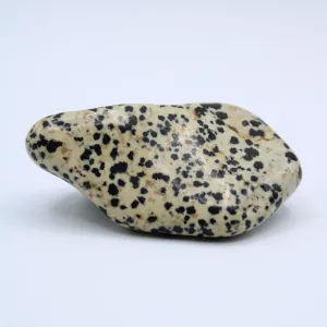 Dalmatian Jasper Free-Form