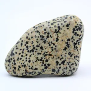 Dalmatian Jasper Free-Form
