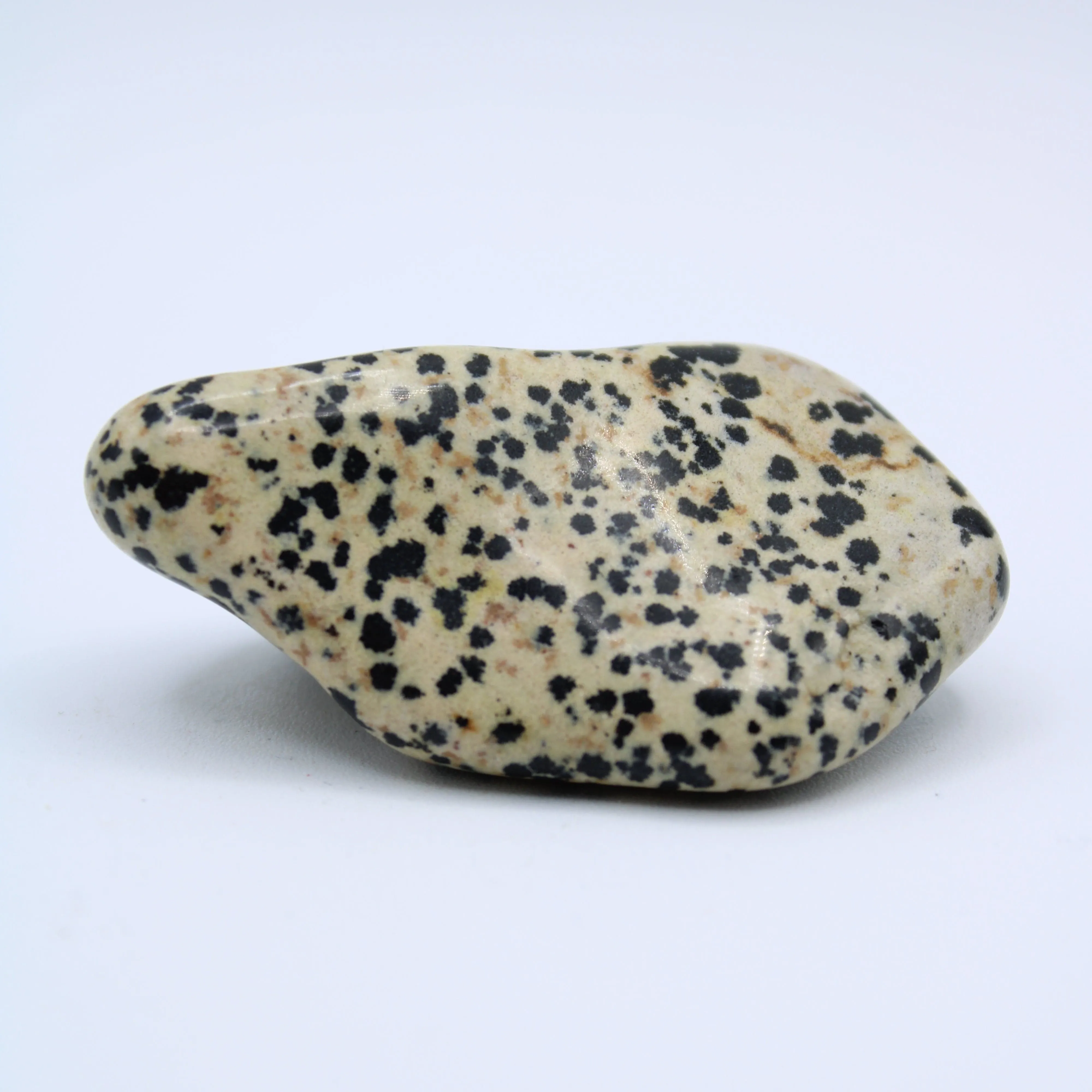 Dalmatian Jasper Free-Form