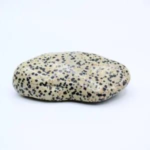 Dalmatian Jasper Free-Form