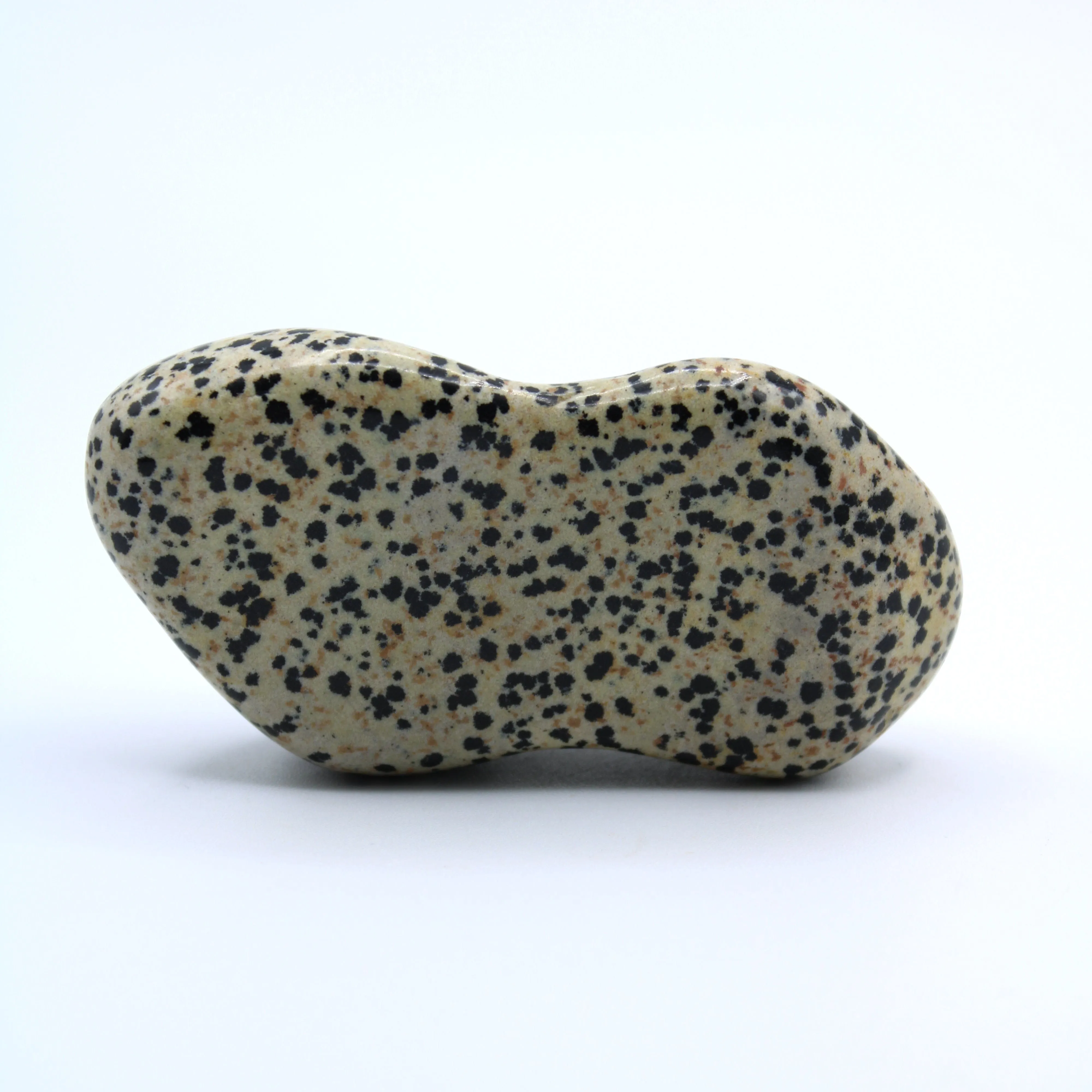 Dalmatian Jasper Free-Form