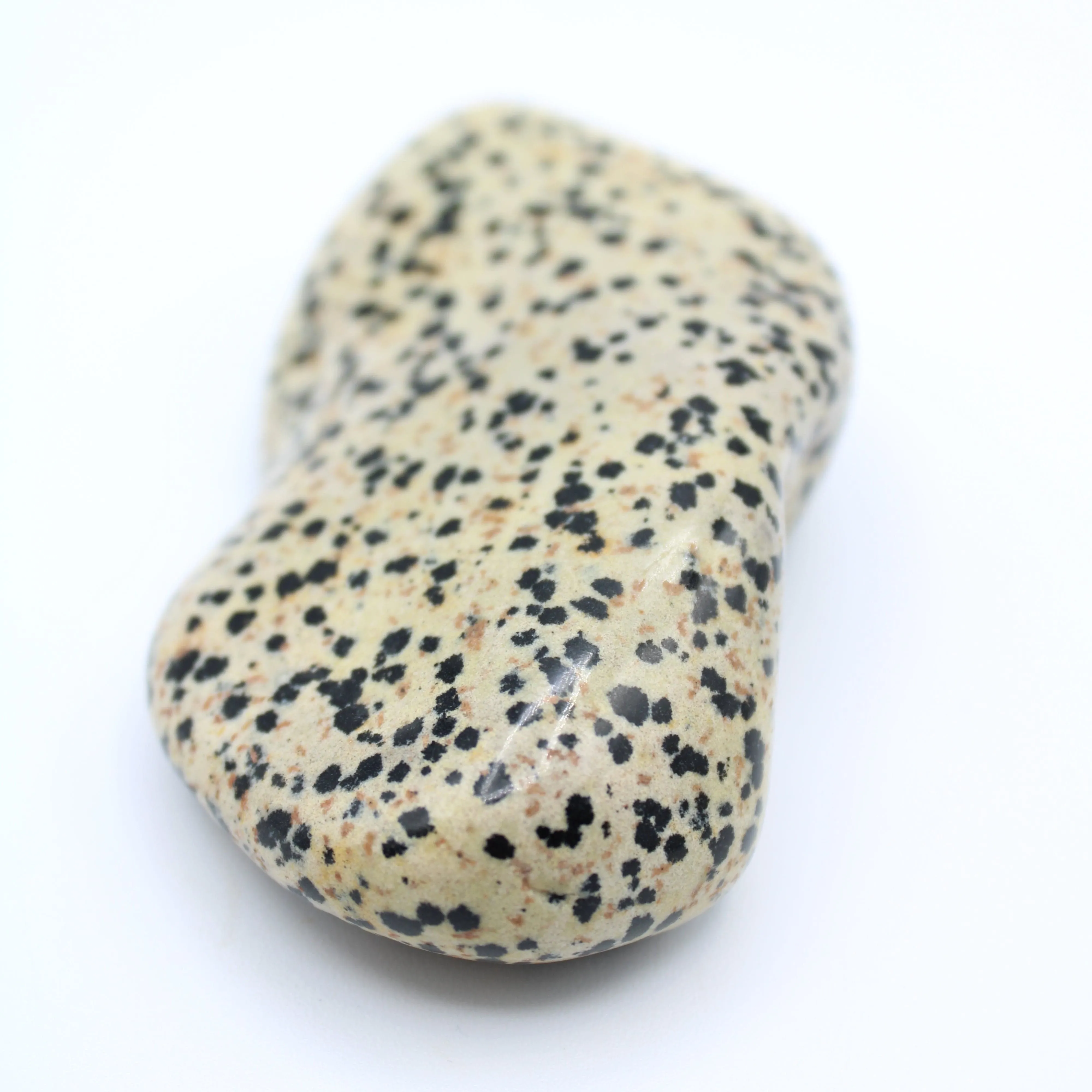 Dalmatian Jasper Free-Form