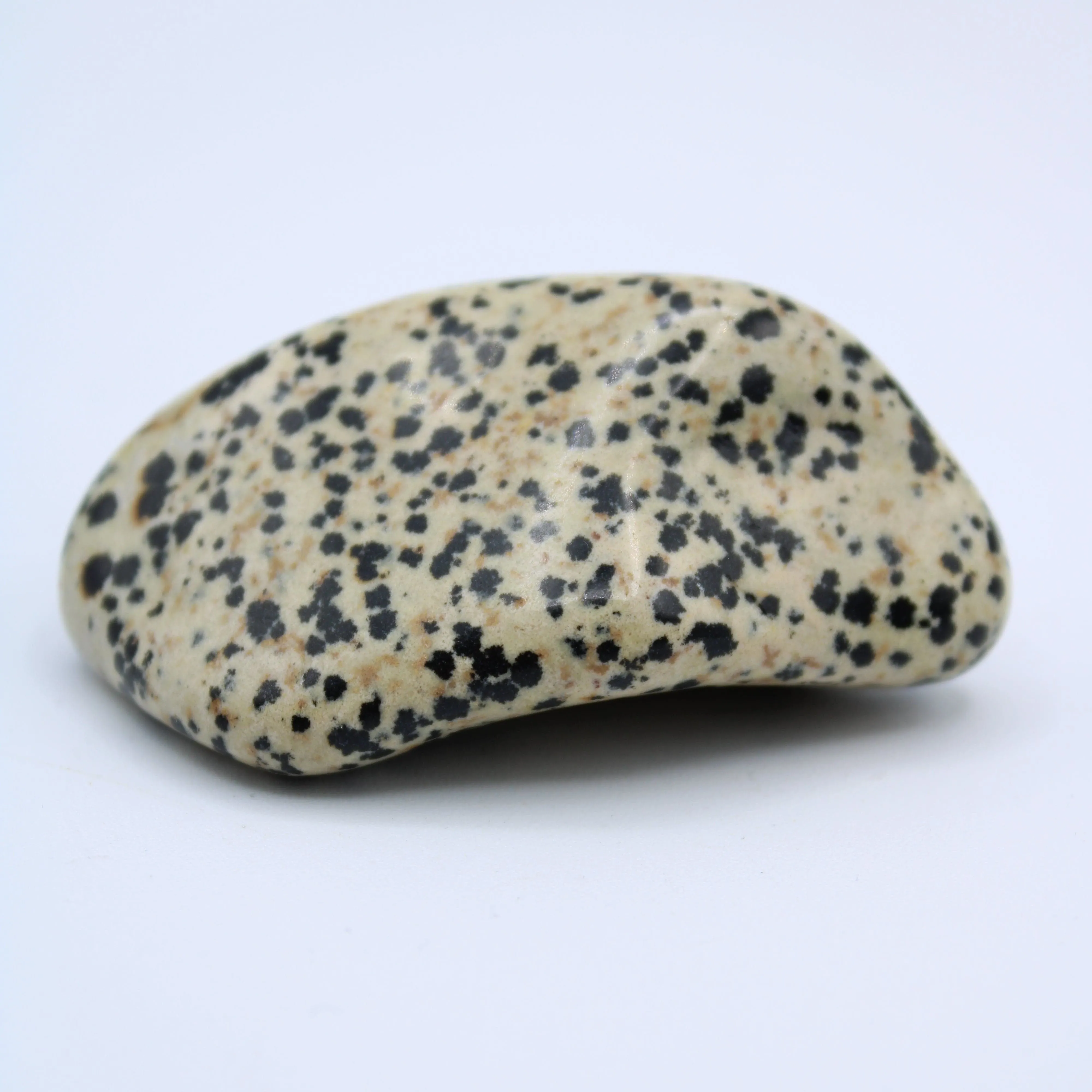 Dalmatian Jasper Free-Form