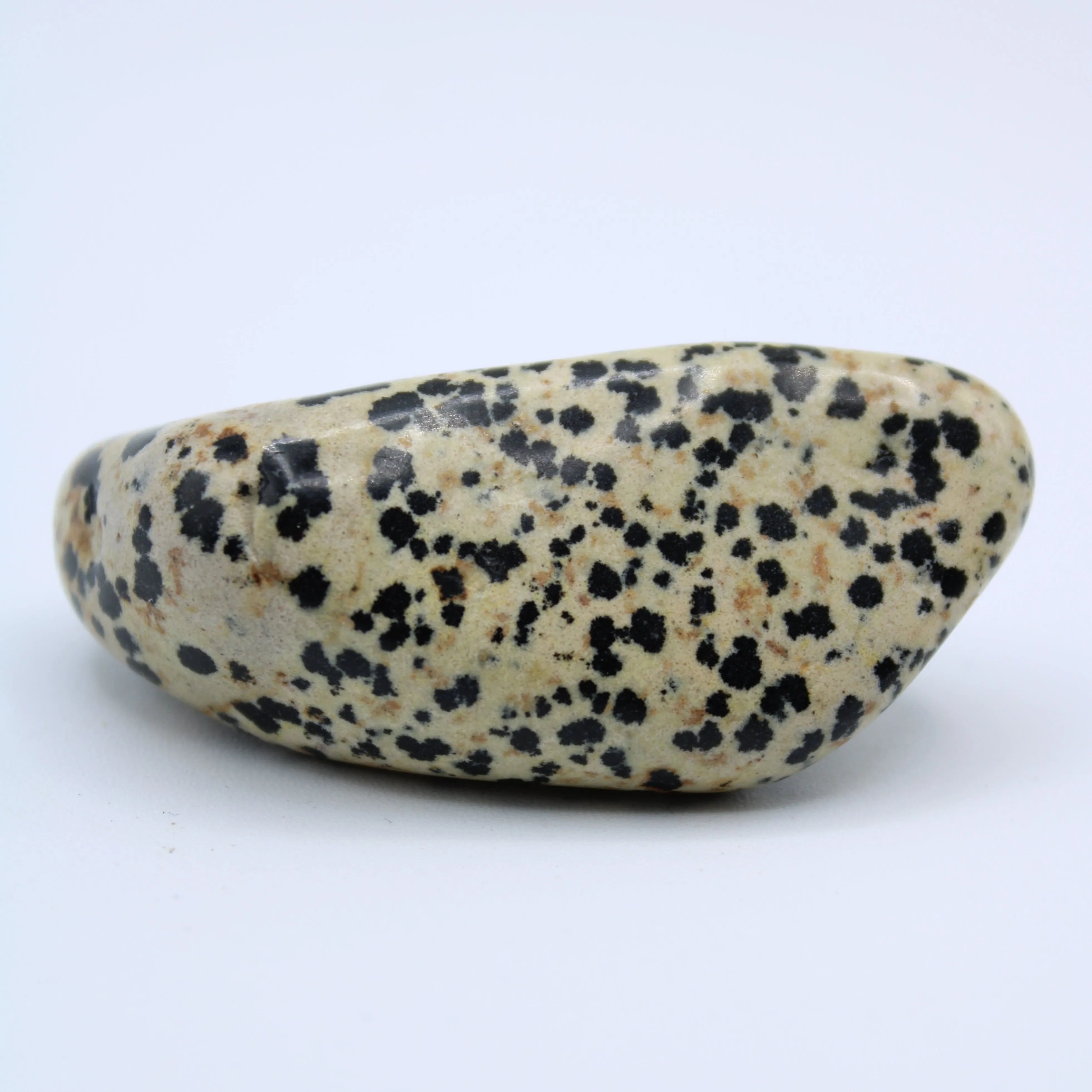 Dalmatian Jasper Free-Form