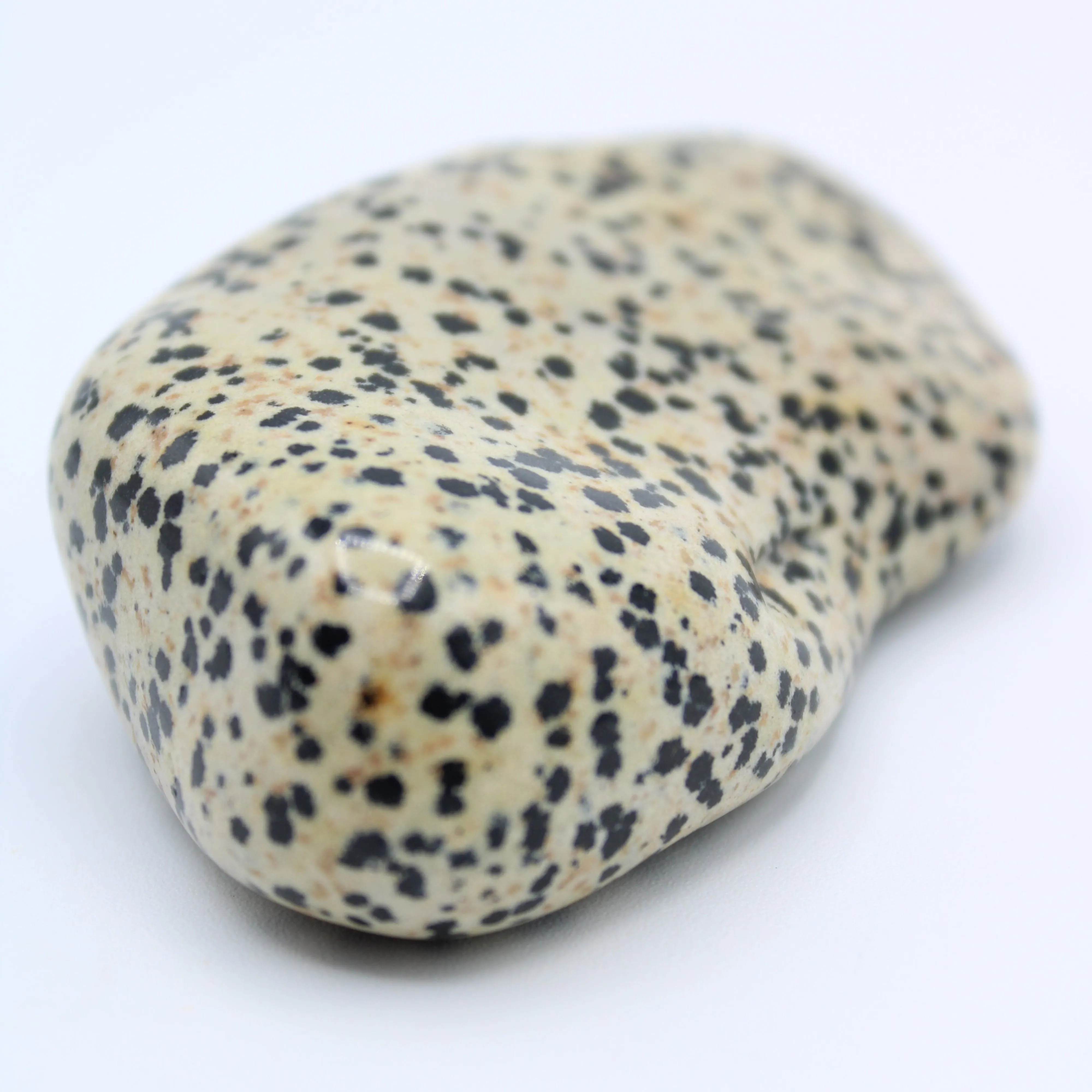 Dalmatian Jasper Free-Form