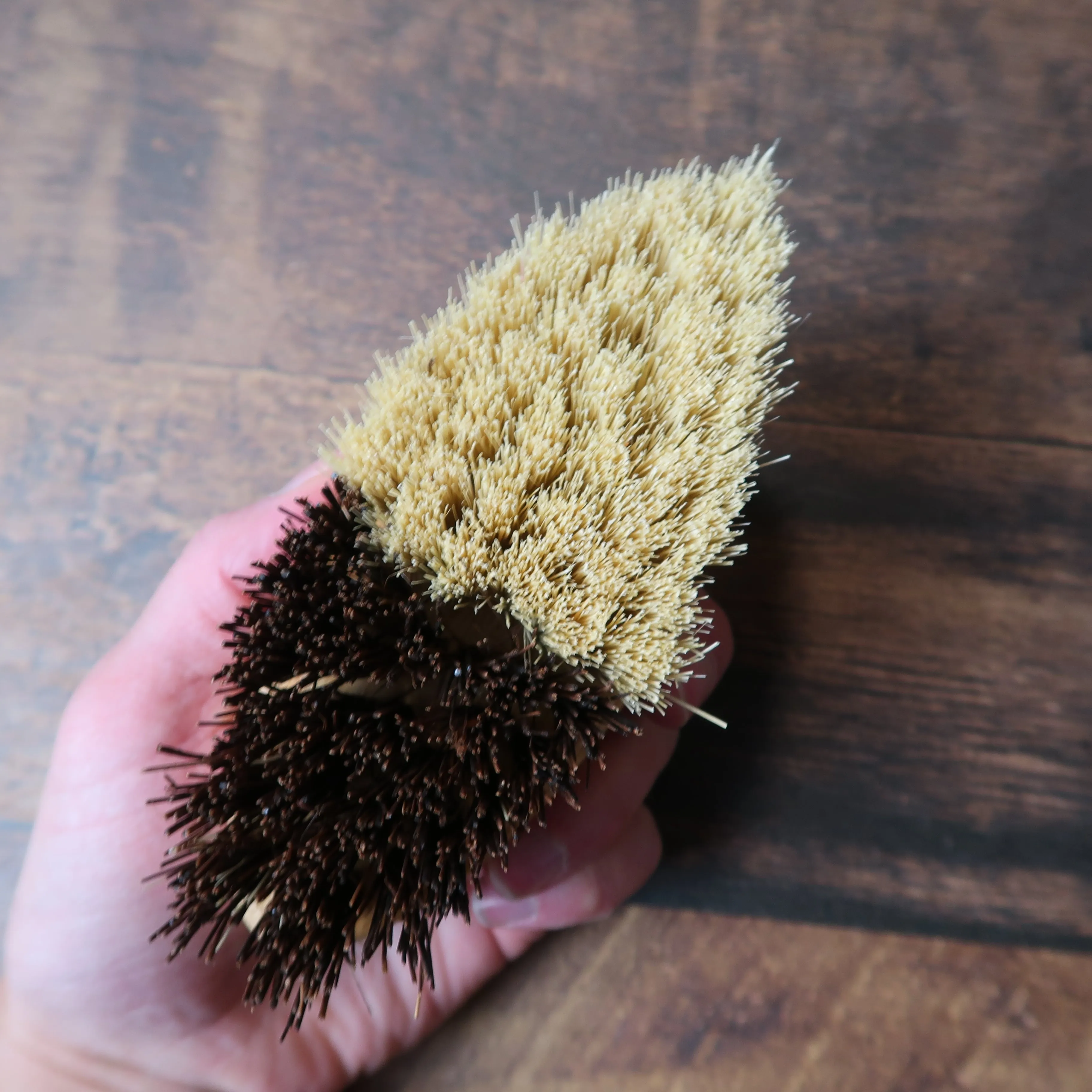 EKO   CO - DUO SCRUB BRUSH