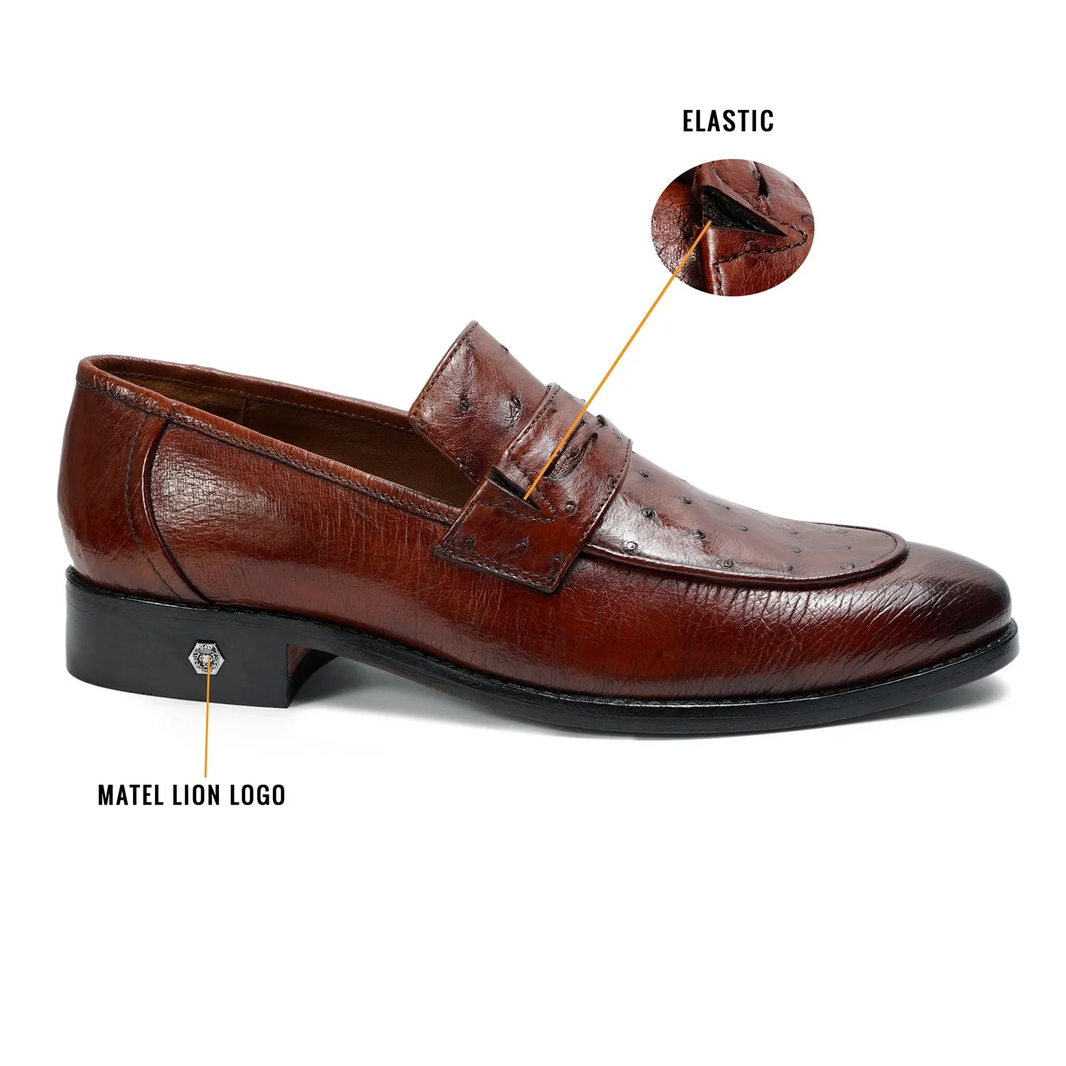 Espresso Quill Vamp with Smooth Sides Ostrich Leather Loafers