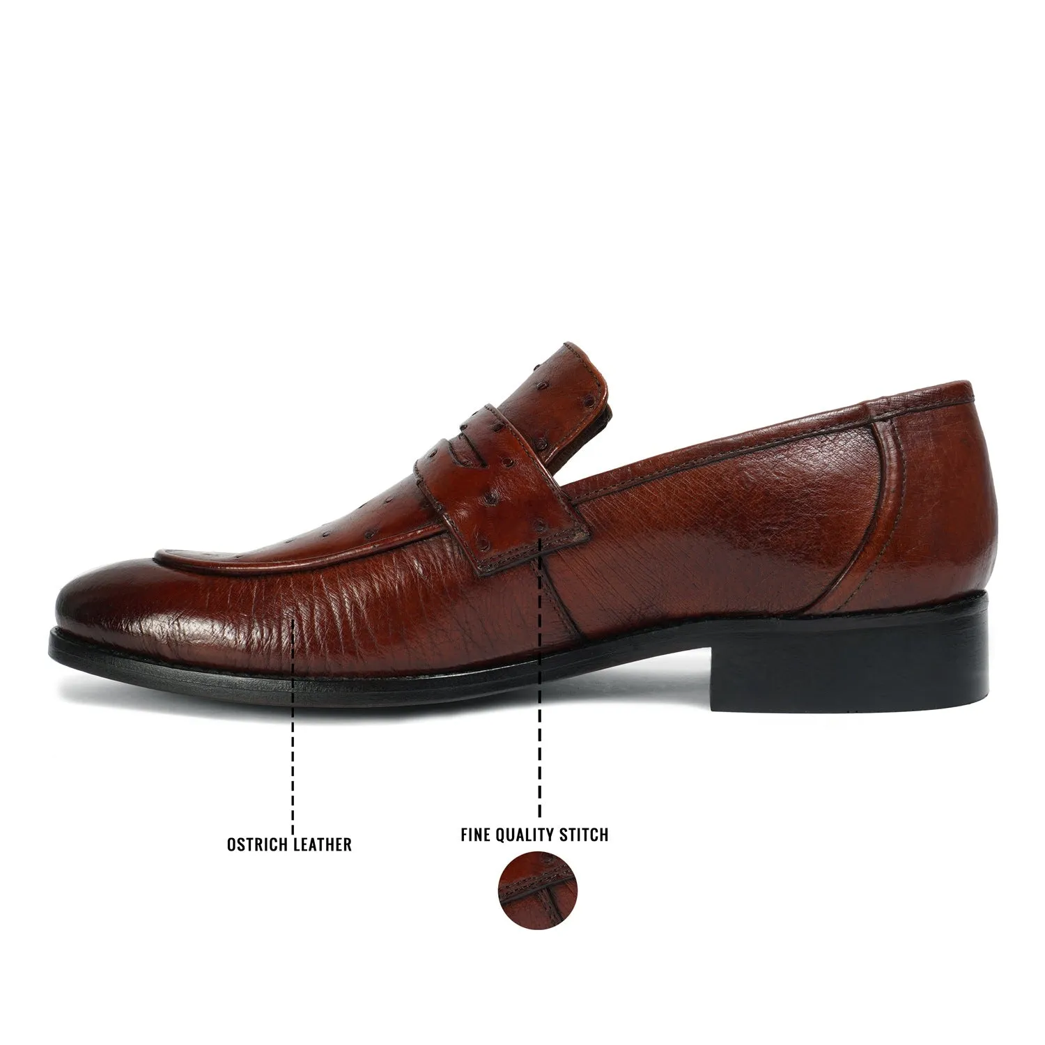 Espresso Quill Vamp with Smooth Sides Ostrich Leather Loafers