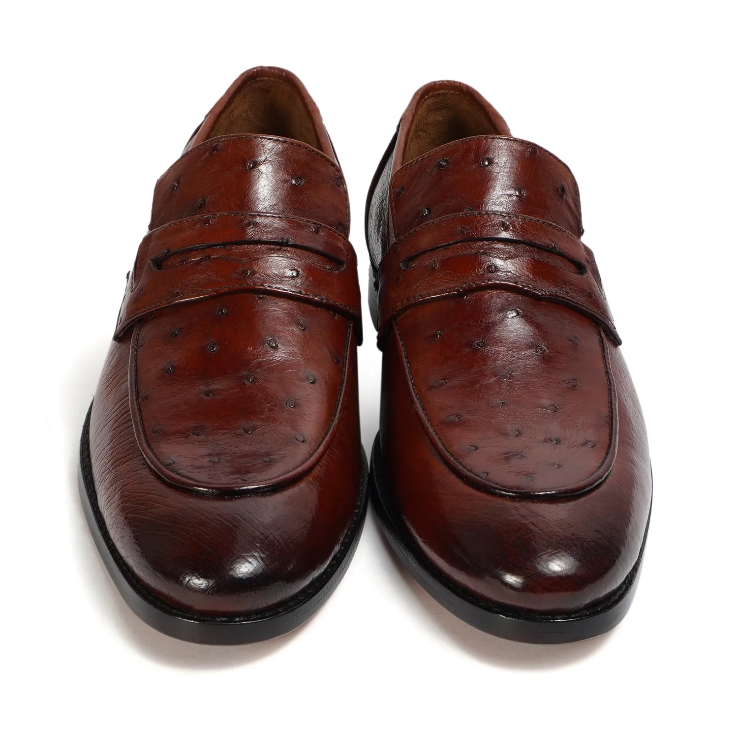 Espresso Quill Vamp with Smooth Sides Ostrich Leather Loafers