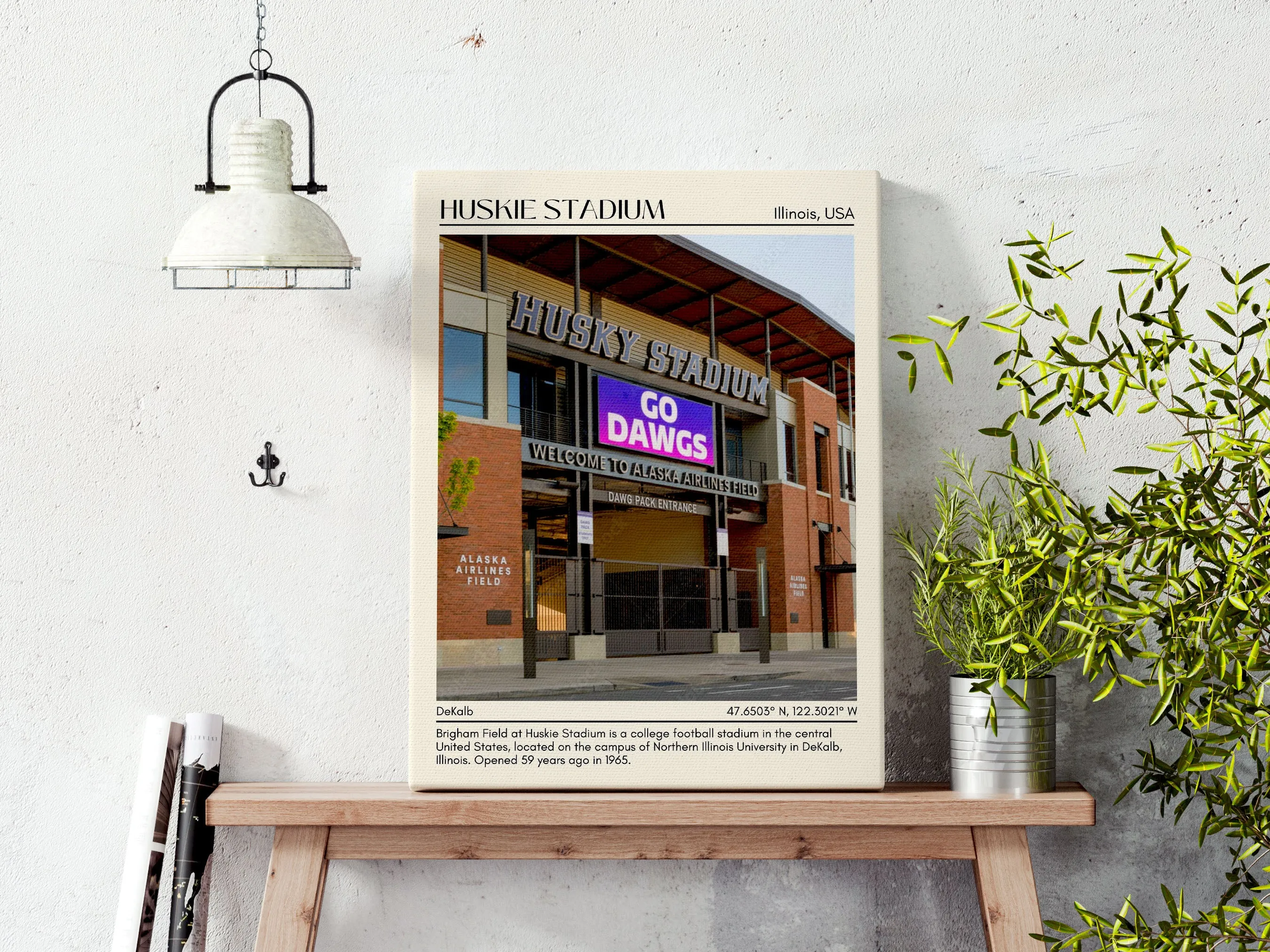 Huskie Stadium Football Minimal Wall Art