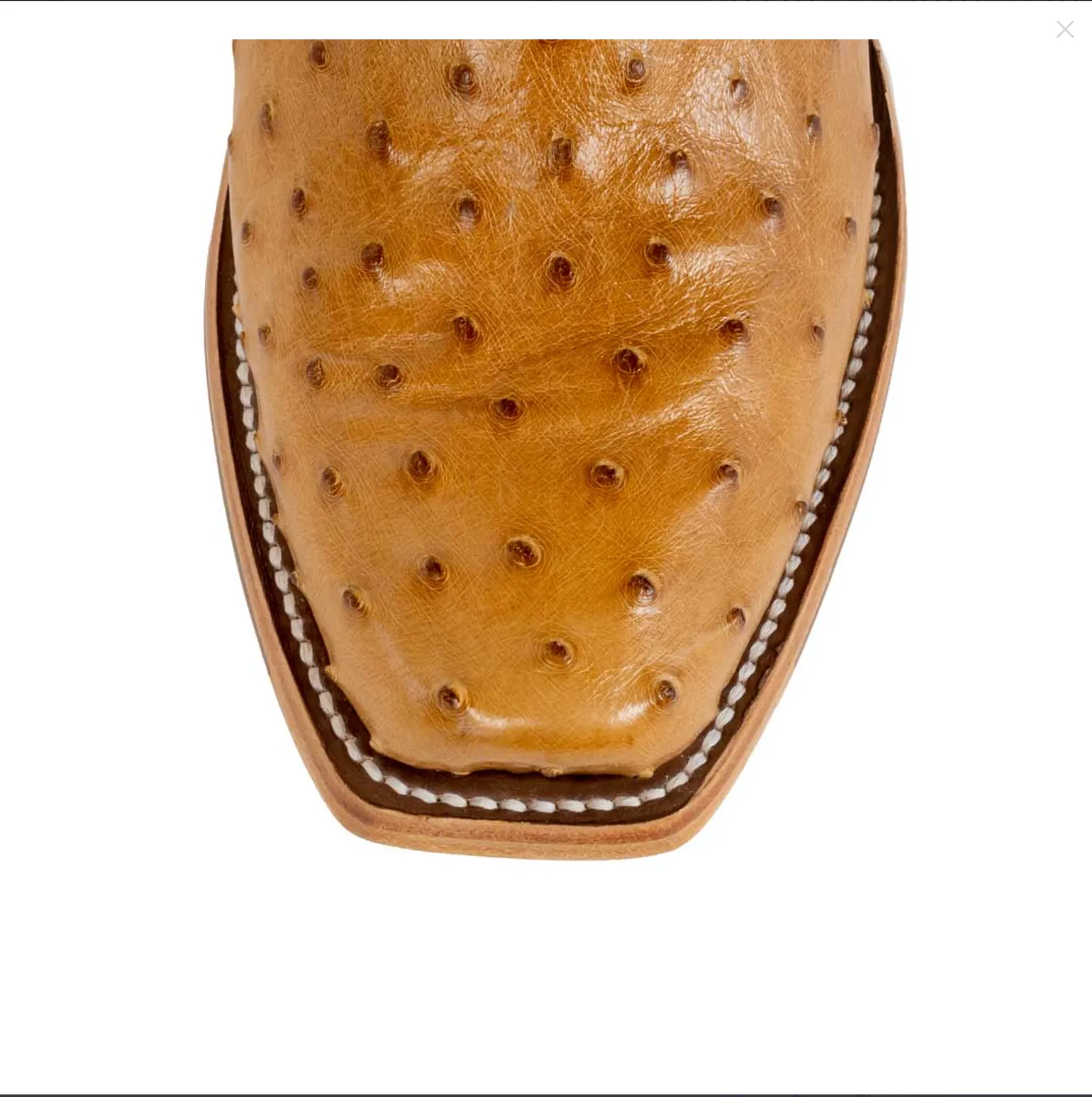 Macie Bean Antique Saddle FQ Ostrich