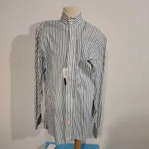 Periwinkle and Green Stripe Shirt