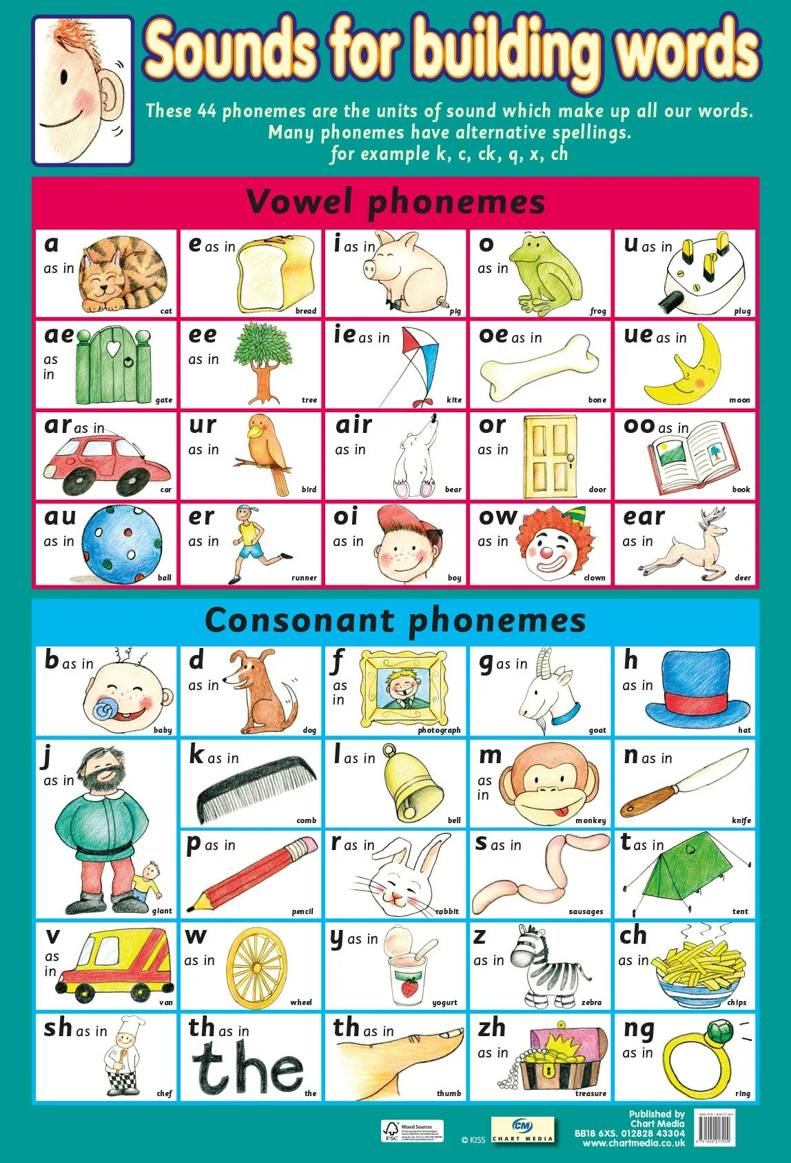 Poster 60cm x 40cm - Sounds for building words