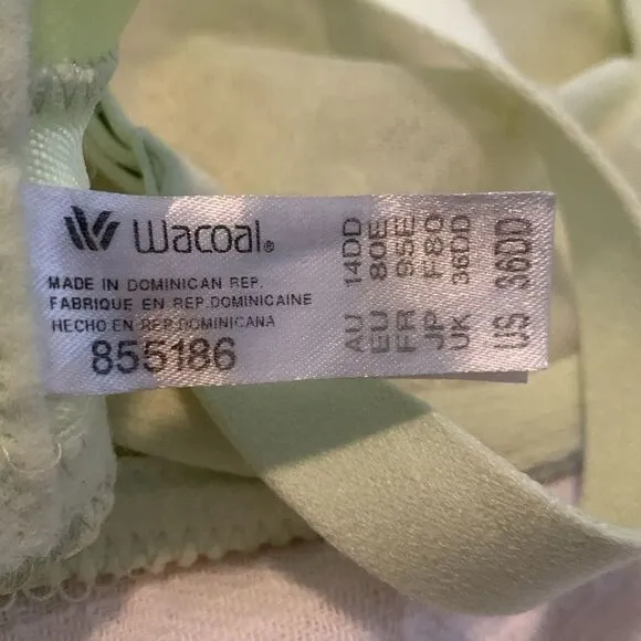 Wacoal 2 Retro Chic Full Figure Underwire Bra lace beige and lime Size 36DD