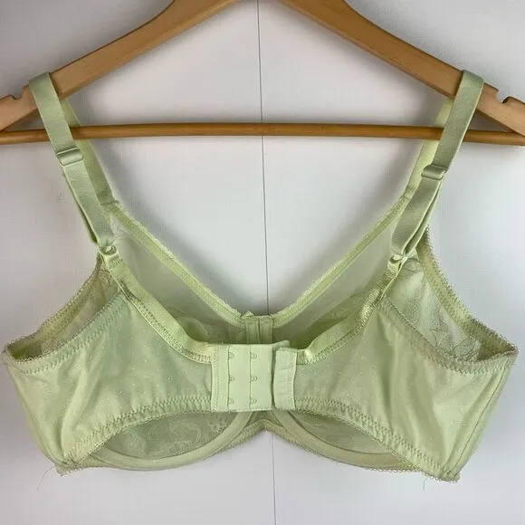 Wacoal 2 Retro Chic Full Figure Underwire Bra lace beige and lime Size 36DD