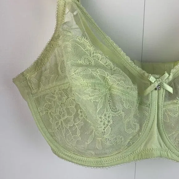 Wacoal 2 Retro Chic Full Figure Underwire Bra lace beige and lime Size 36DD